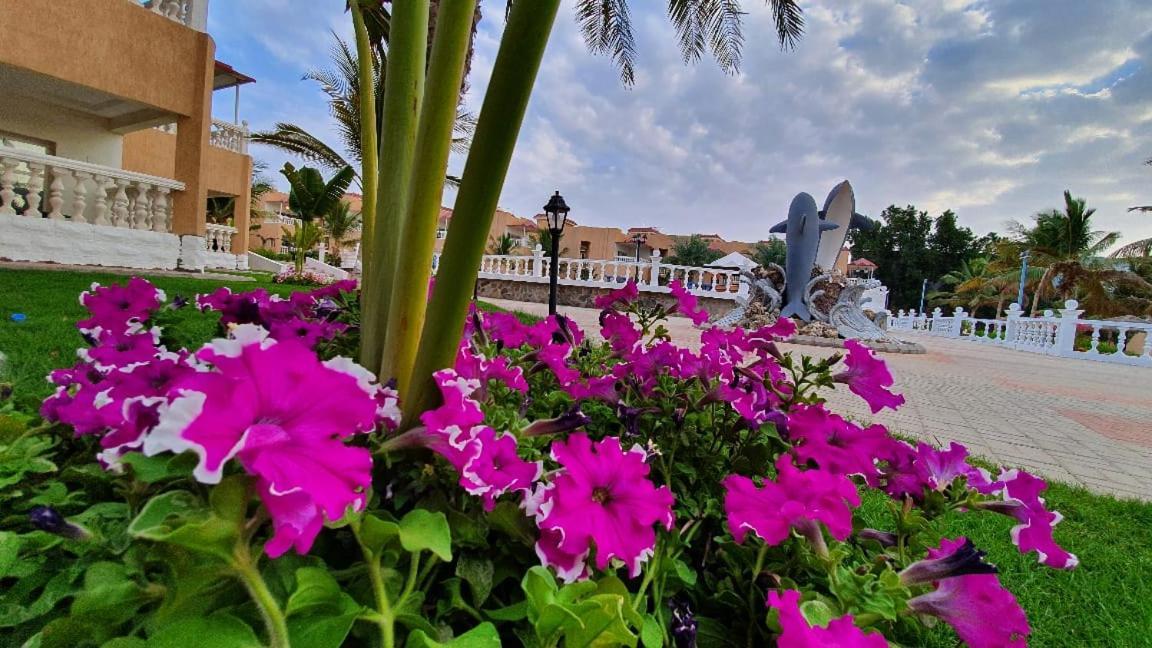 Dolphin Beach Resort Yanbu Luaran gambar